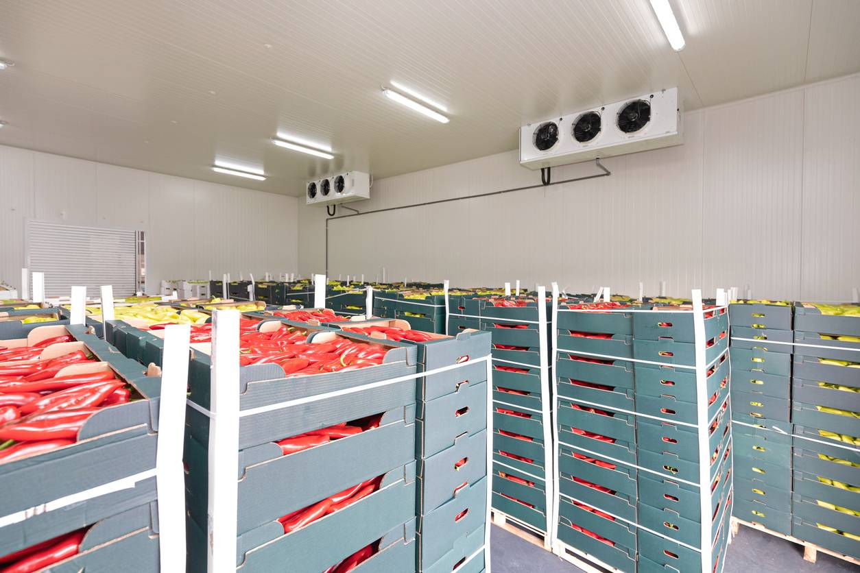 Logistique agroalimentaire stockage produit frais