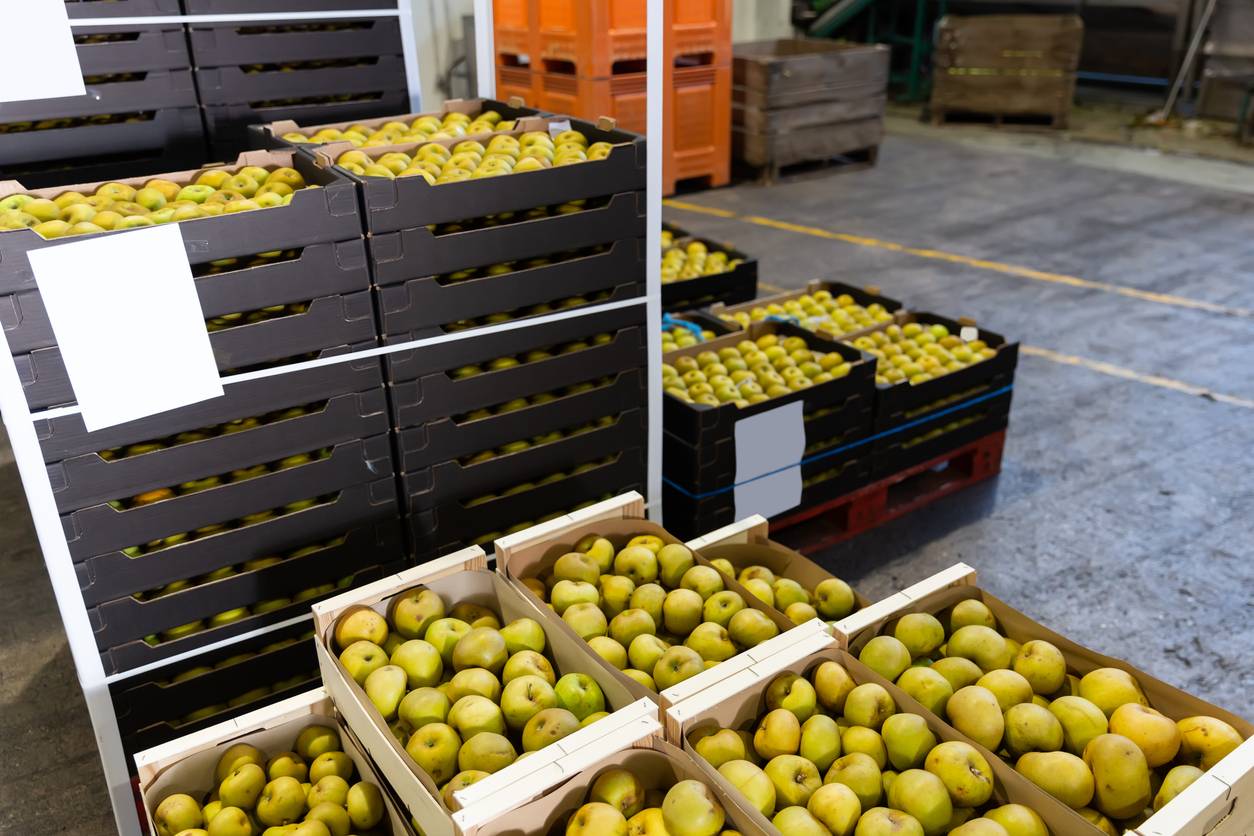 box isotherme réutilisable denrées alimentaires